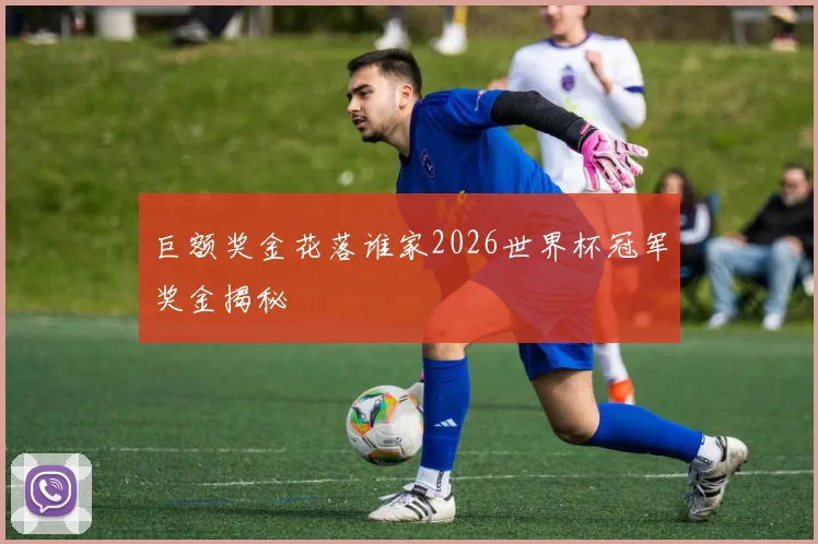 巨额奖金花落谁家2026世界杯冠军奖金揭秘